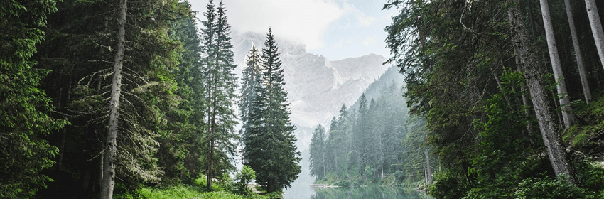 Sample Post 4